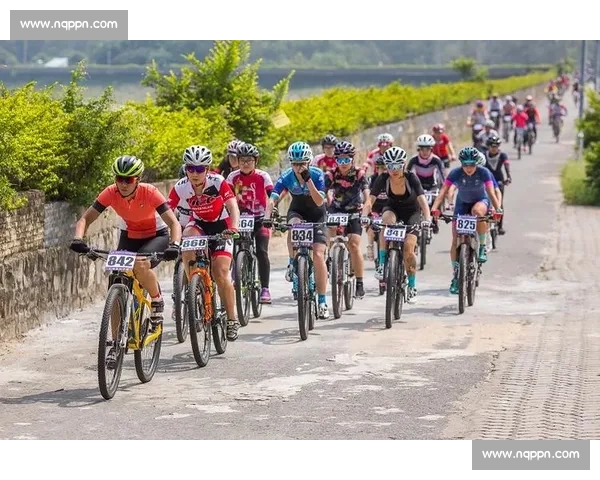 极速竞技与耐力较量：公路自行车赛的荣耀与挑战全景解析